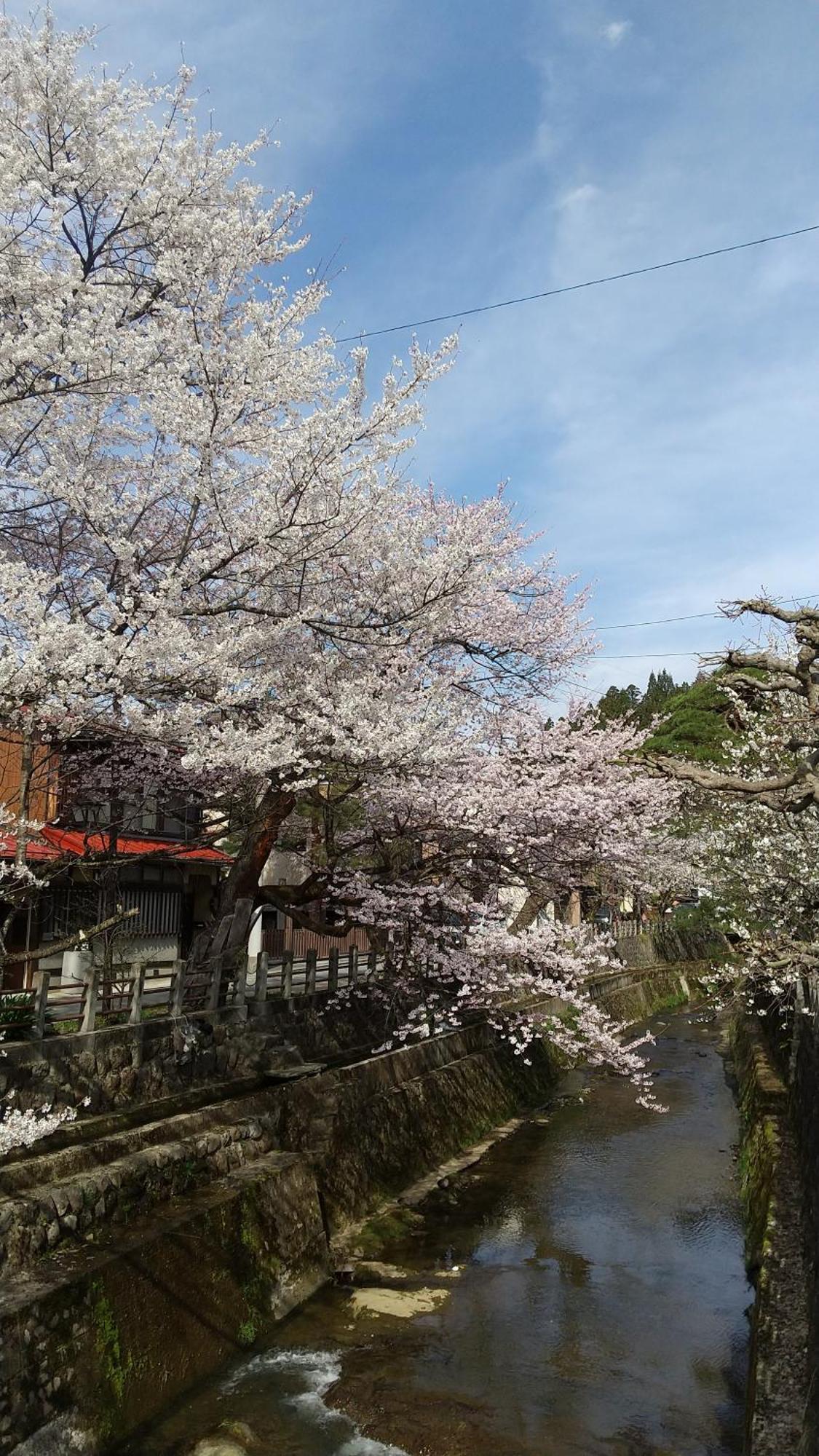 Hotel Daihachi Takayama  Exterior foto